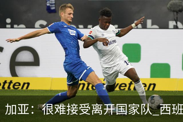 加亚：很难接受离开国家队 西班牙将踢出精彩世界杯